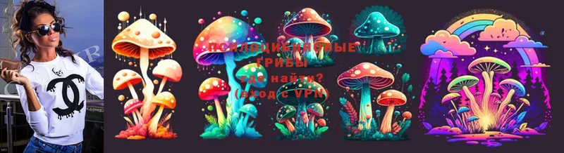 как найти   Нестеровская  Псилоцибиновые грибы Psilocybe 